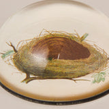 John Derian Paperweight, Birds