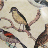 John Derian Paperweight, Feathered Friends