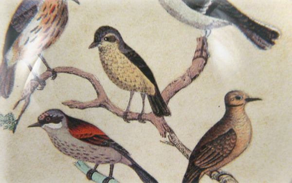 John Derian Paperweight, Feathered Friends