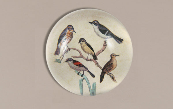 John Derian Paperweight, Feathered Friends