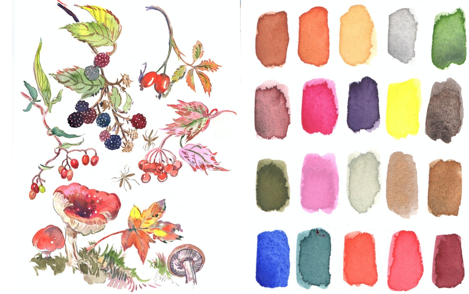 Japanese Seasons Watercolour Set, Spring – Choosing Keeping
