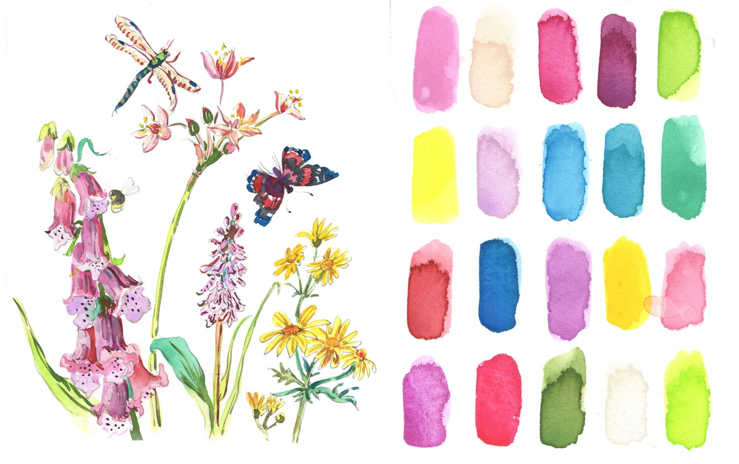 Japanese Watercolour Set, 4 Seasons – Choosing Keeping