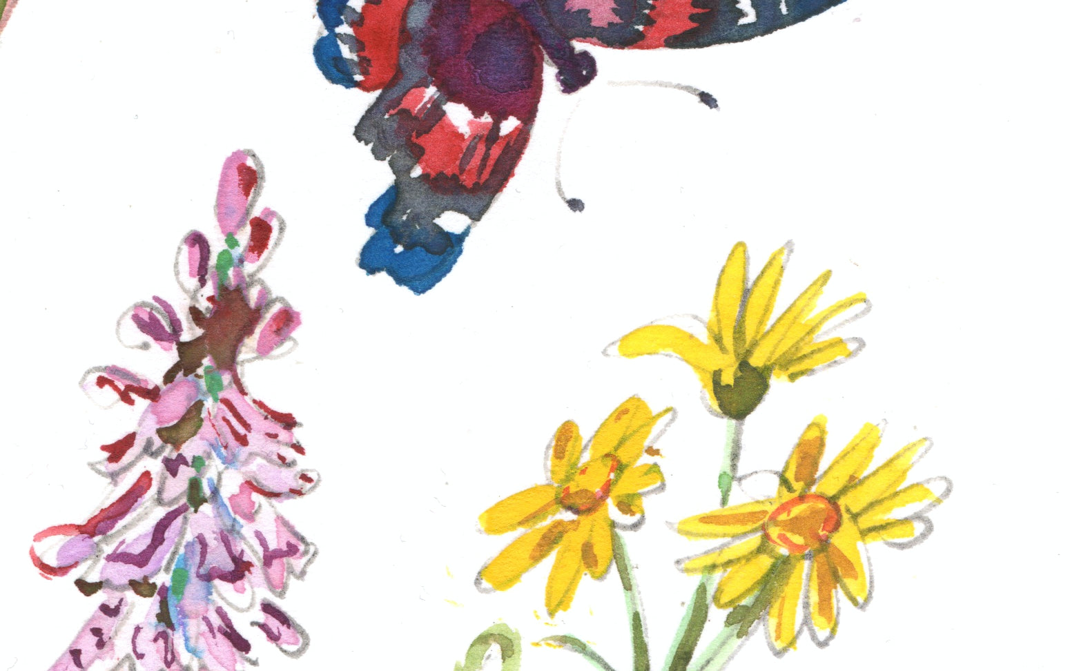 20 Colours Spring Botanical Japanese Watercolour Set – Choosing Keeping