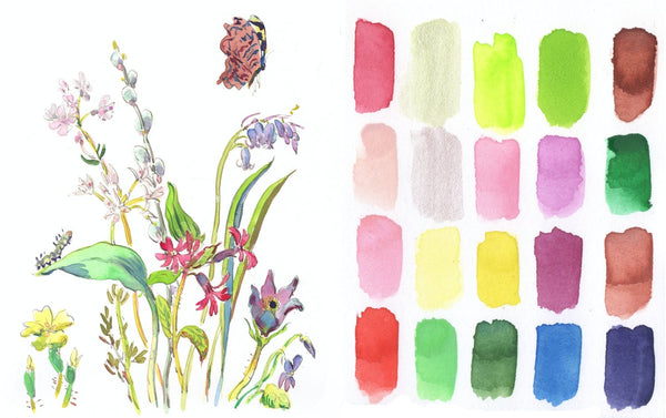 Japanese Seasons Watercolour Set, Spring