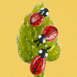 Christmas Ornament, Leaf with Ladybirds