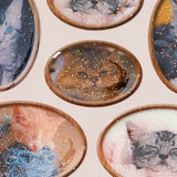 Cat and Dog Jelly Seal Stickers