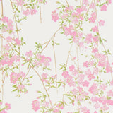 Set of 6 Japanese Blossoms Postcards, Set 6