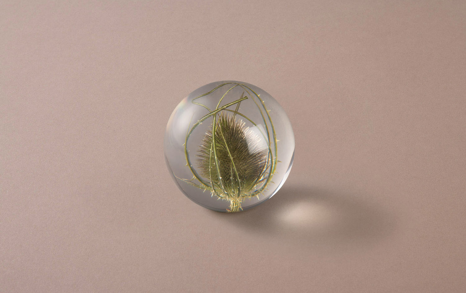 Teasel Paperweight