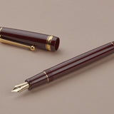 Red Pilot Custom 74 Fountain Pen, Medium Nib