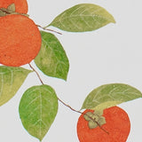 Set of 6 Japanese Botanical Postcards, No 4