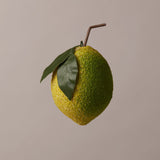 Papier Maché Lemon Christmas Ornament