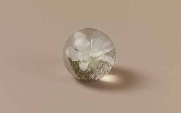 White Orchid Paperweight