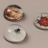 John Derian Paperweights, Garden Assortment