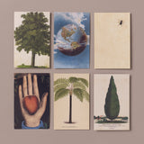 Set of 6 Victorian Ephemera Postcards, No 2