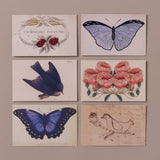 Set of 6 Victorian Ephemera Postcards, No 1
