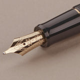 Green Pilot Custom 74 Fountain Pen, Broad Nib