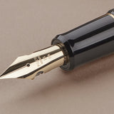 Pilot Custom 743 Fountain Pen, FA Flex Nib