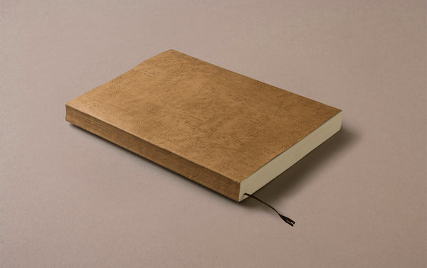 Medium Novelist's Notebook