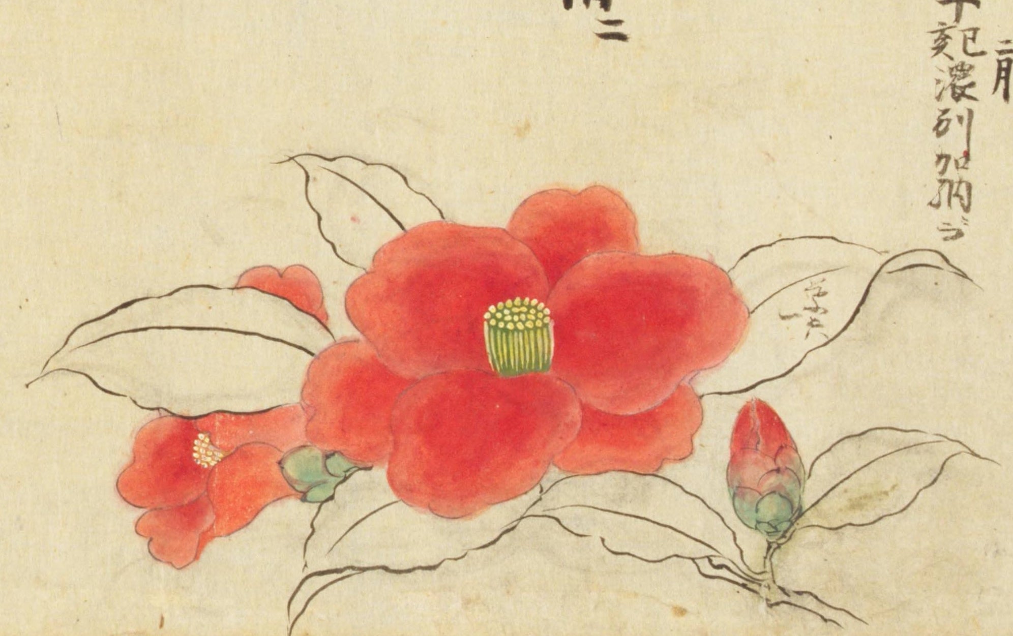 Saiun-do Kyoto Nihonga Mineral Pigment Set, Red Camellia